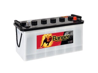 Autobaterie BUFFALO BULL  12V / 100Ah / 600A