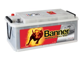 Autobaterie BUFFALO BULL SHD  12V / 170Ah / 1000A