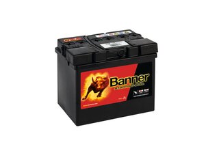 Autobaterie STARTING BULL  12V / 30Ah / 300A