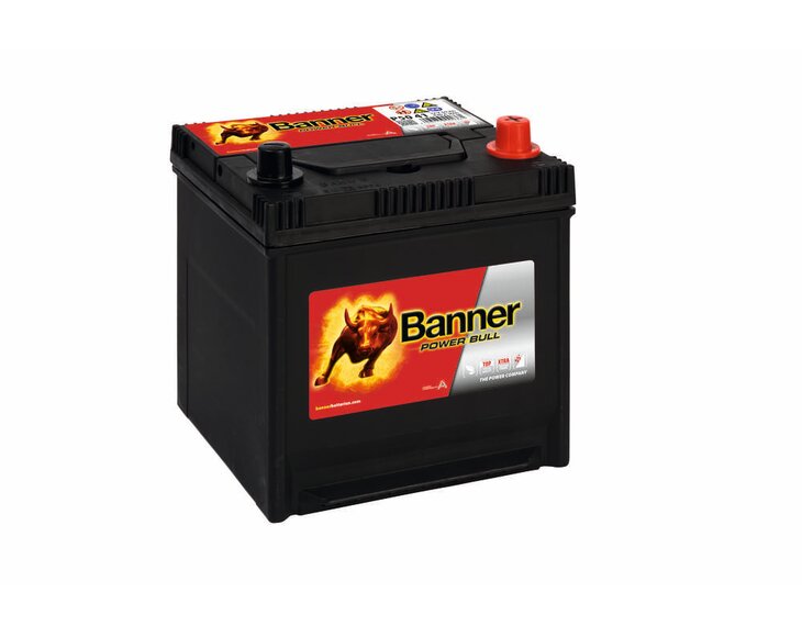 shop_products-image_jpeg-20180220072935-5413-013550410101-power-bull-p50-41-klassische-ansicht-small.jpg
