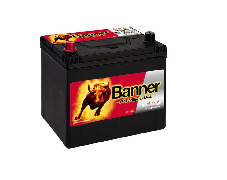 shop_products-image_jpeg-20180220073336-6977-013560690101-power-bull-p60-69-klassische-ansicht-small.jpg