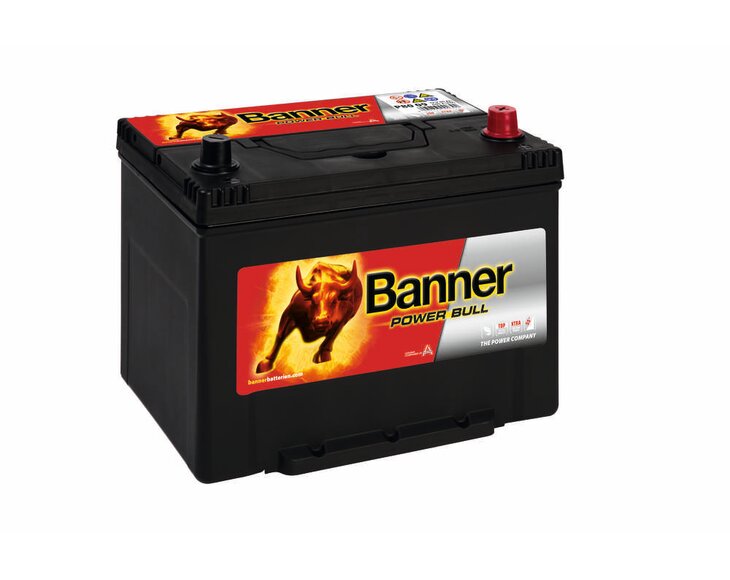 shop_products-image_jpeg-20180222095200-6882-013580090101-power-bull-p80-09-klassische-ansicht-small.jpg
