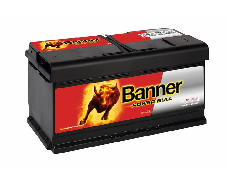shop_products-image_jpeg-20180222095631-2448-013595330101-power-bull-p95-33-dt-klassische-ansicht-small.jpg