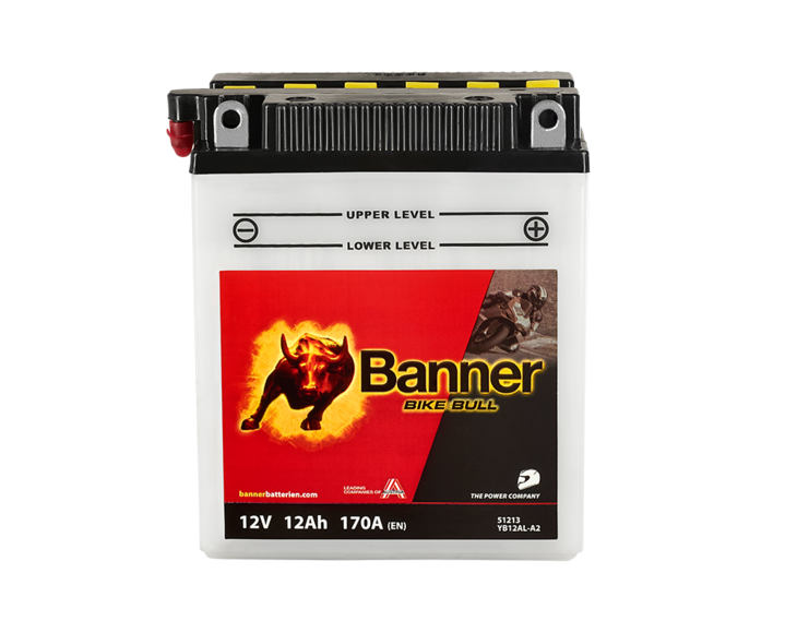shop_products-image_png-20190321113502-3359-020512130100-bike-bull-51213-yb12al-a2-web-produktuebersicht.png
